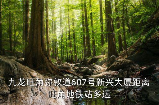 彌敦道新興大廈附近有什么，九龍旺角彌敦道607號新興大廈距離旺角地鐵站多遠...